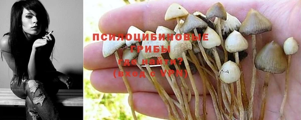 гидра Алзамай