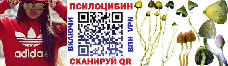 Псилоцибиновые грибы мицелий  Александровское 